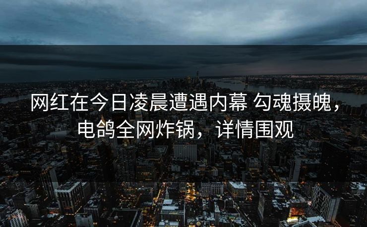 网红在今日凌晨遭遇内幕 勾魂摄魄，电鸽全网炸锅，详情围观
