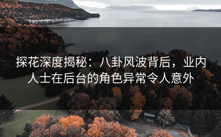 探花深度揭秘：八卦风波背后，业内人士在后台的角色异常令人意外