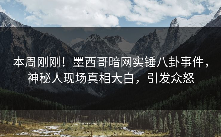 本周刚刚！墨西哥暗网实锤八卦事件，神秘人现场真相大白，引发众怒
