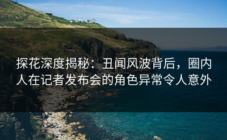 探花深度揭秘：丑闻风波背后，圈内人在记者发布会的角色异常令人意外